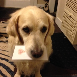 Jana peruses several cards, then chooses "tug," asking to play tug.