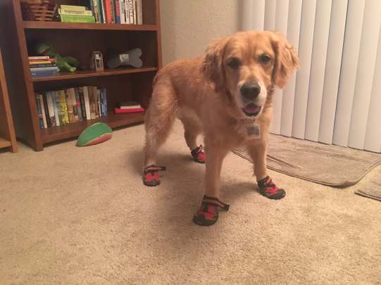 Cali stands with her feet splayed, trying out her new boots